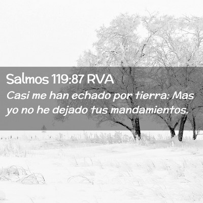 Picture 02 - Salmos 119:87 RVA - Casi me han echado por tierra: Mas yo no he - Bible Verse Picture