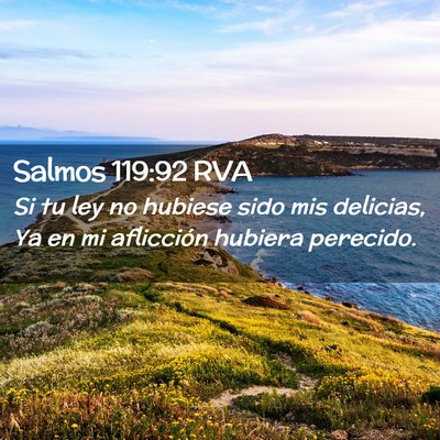 Picture 02 - Salmos 119:92 RVA - Si tu ley no hubiese sido mis delicias, Ya en mi - Bible Verse Picture