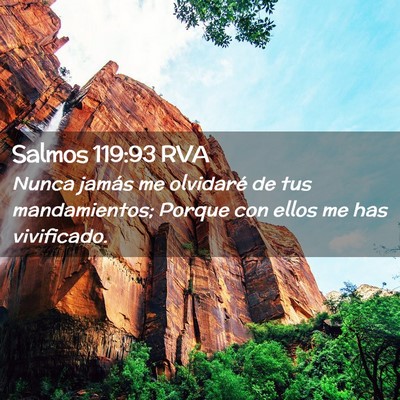 Picture 02 - Salmos 119:93 RVA - Nunca jamás me olvidaré de tus mandamientos; - Bible Verse Picture