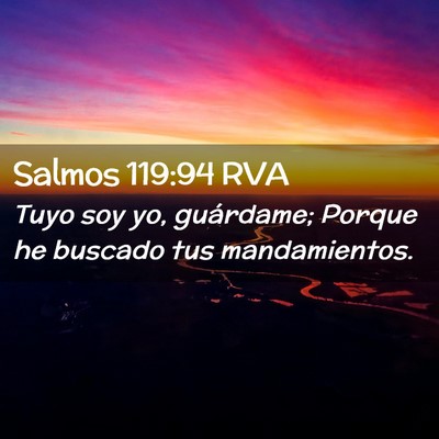 Picture 02 - Salmos 119:94 RVA - Tuyo soy yo, guárdame; Porque he buscado tus - Bible Verse Picture
