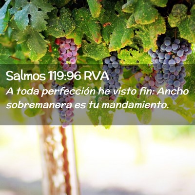 Picture 02 - Salmos 119:96 RVA - A toda perfección he visto fin: Ancho - Bible Verse Picture