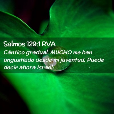 Picture 02 - Salmos 129:1 RVA - Cántico gradual. MUCHO me han angustiado desde - Bible Verse Picture