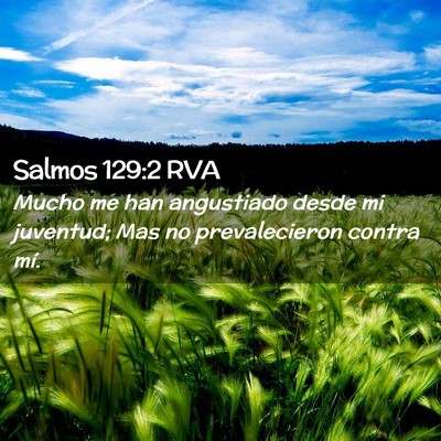 Picture 02 - Salmos 129:2 RVA - Mucho me han angustiado desde mi juventud; Mas no - Bible Verse Picture