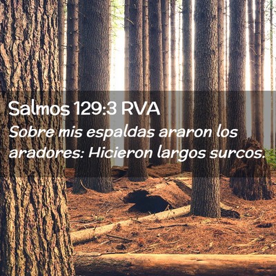 Picture 02 - Salmos 129:3 RVA - Sobre mis espaldas araron los aradores: Hicieron - Bible Verse Picture