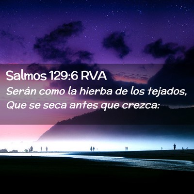 Picture 02 - Salmos 129:6 RVA - Serán como la hierba de los tejados, Que se seca - Bible Verse Picture
