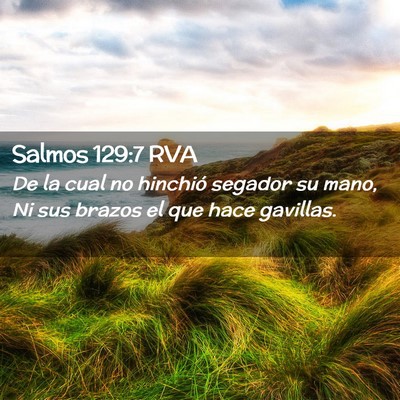 Picture 02 - Salmos 129:7 RVA - De la cual no hinchió segador su mano, Ni sus - Bible Verse Picture