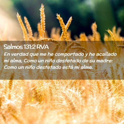 Picture 02 - Salmos 131:2 RVA - En verdad que me he comportado y he acallado mi - Bible Verse Picture