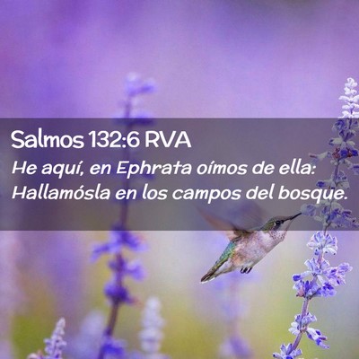 Picture 02 - Salmos 132:6 RVA - He aquí, en Ephrata oímos de ella: Hallamósla - Bible Verse Picture