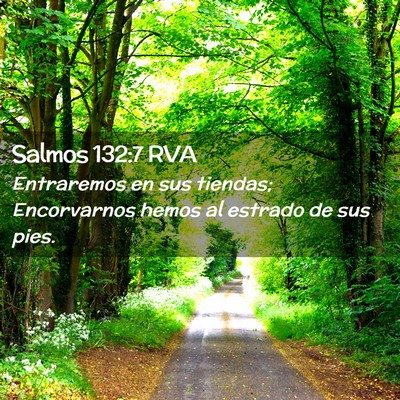 Picture 02 - Salmos 132:7 RVA - Entraremos en sus tiendas; Encorvarnos hemos al - Bible Verse Picture