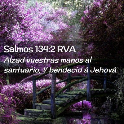 Picture 02 - Salmos 134:2 RVA - Alzad vuestras manos al santuario, Y bendecid á - Bible Verse Picture