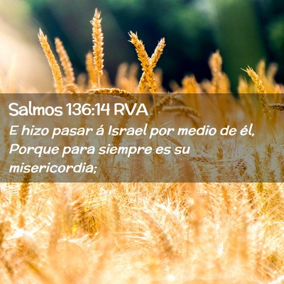 Picture 02 - Salmos 136:14 RVA - E hizo pasar á Israel por medio de él, Porque - Bible Verse Picture