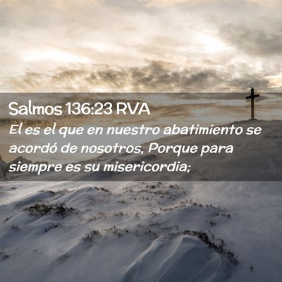 Picture 02 - Salmos 136:23 RVA - El es el que en nuestro abatimiento se acordó de - Bible Verse Picture