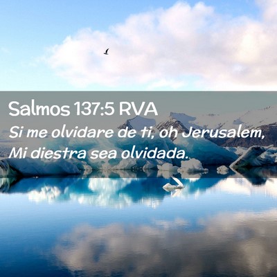 Picture 02 - Salmos 137:5 RVA - Si me olvidare de ti, oh Jerusalem, Mi diestra - Bible Verse Picture