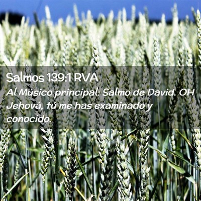 Picture 02 - Salmos 139:1 RVA - Al Músico principal: Salmo de David. OH Jehová, - Bible Verse Picture
