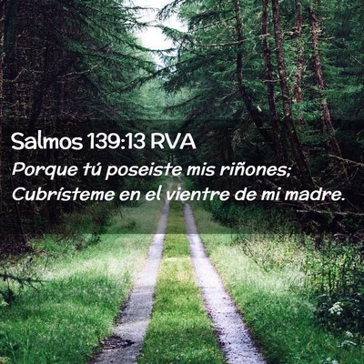 Picture 02 - Salmos 139:13 RVA - Porque tú poseiste mis riñones; Cubrísteme en - Bible Verse Picture