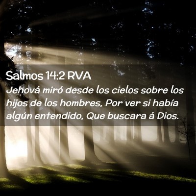 Picture 02 - Salmos 14:2 RVA - Jehová miró desde los cielos sobre los hijos de - Bible Verse Picture
