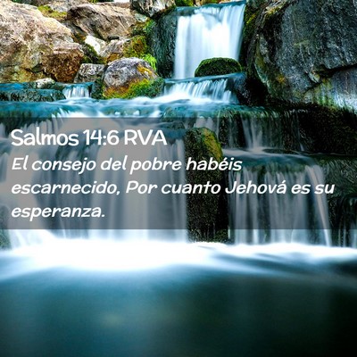 Picture 02 - Salmos 14:6 RVA - El consejo del pobre habéis escarnecido, Por - Bible Verse Picture