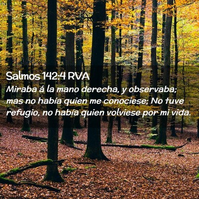 Picture 02 - Salmos 142:4 RVA - Miraba á la mano derecha, y observaba; mas no - Bible Verse Picture