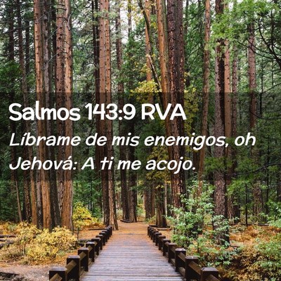 Picture 02 - Salmos 143:9 RVA - Líbrame de mis enemigos, oh Jehová: A ti me - Bible Verse Picture