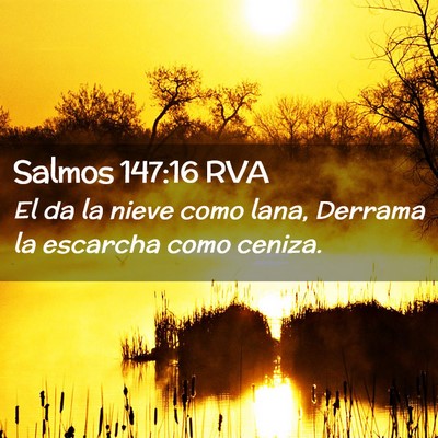 Picture 02 - Salmos 147:16 RVA - El da la nieve como lana, Derrama la escarcha - Bible Verse Picture