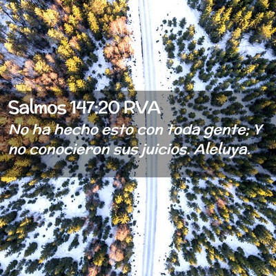 Picture 02 - Salmos 147:20 RVA - No ha hecho esto con toda gente; Y no conocieron - Bible Verse Picture