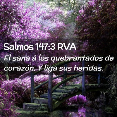 Picture 02 - Salmos 147:3 RVA - El sana á los quebrantados de corazón, Y liga - Bible Verse Picture