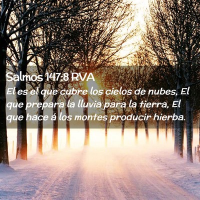 Picture 02 - Salmos 147:8 RVA - El es el que cubre los cielos de nubes, El que - Bible Verse Picture