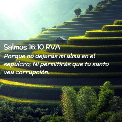 Picture 02 - Salmos 16:10 RVA - Porque no dejarás mi alma en el sepulcro; Ni - Bible Verse Picture
