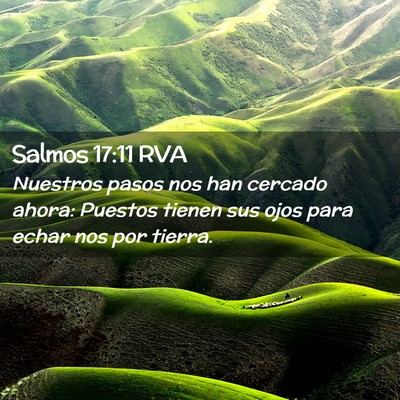 Picture 02 - Salmos 17:11 RVA - Nuestros pasos nos han cercado ahora: Puestos - Bible Verse Picture