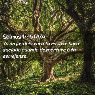 Picture 02 - Salmos 17:15 RVA - Yo en justicia veré tu rostro: Seré saciado - Bible Verse Picture