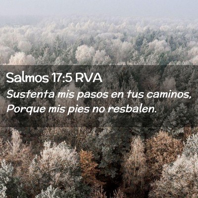 Picture 02 - Salmos 17:5 RVA - Sustenta mis pasos en tus caminos, Porque mis - Bible Verse Picture