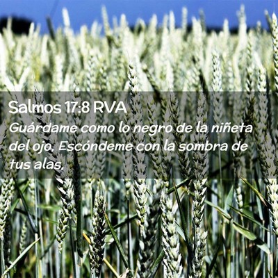 Picture 02 - Salmos 17:8 RVA - Guárdame como lo negro de la niñeta del ojo, - Bible Verse Picture