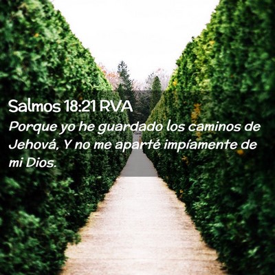 Picture 02 - Salmos 18:21 RVA - Porque yo he guardado los caminos de Jehová, Y - Bible Verse Picture