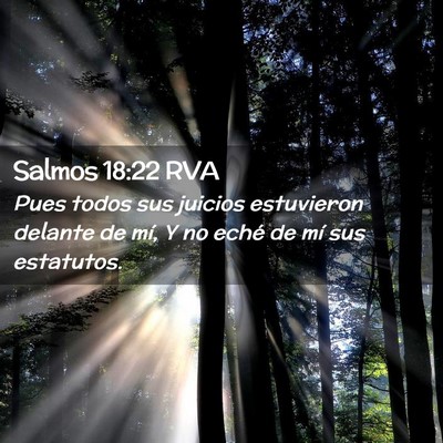 Picture 02 - Salmos 18:22 RVA - Pues todos sus juicios estuvieron delante de mí, - Bible Verse Picture