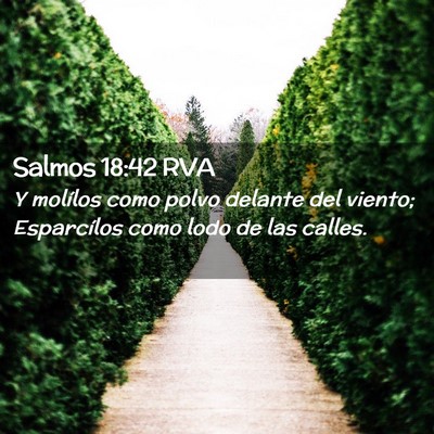 Picture 02 - Salmos 18:42 RVA - Y molílos como polvo delante del viento; - Bible Verse Picture