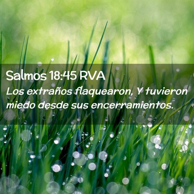 Picture 02 - Salmos 18:45 RVA - Los extraños flaquearon, Y tuvieron miedo desde - Bible Verse Picture