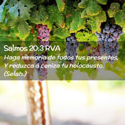 Picture 02 - Salmos 20:3 RVA - Haga memoria de todos tus presentes, Y reduzca á - Bible Verse Picture
