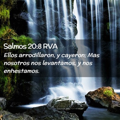 Picture 02 - Salmos 20:8 RVA - Ellos arrodillaron, y cayeron; Mas nosotros nos - Bible Verse Picture