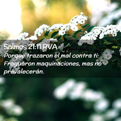 Picture 02 - Salmos 21:11 RVA - Porque trazaron el mal contra ti: Fraguaron - Bible Verse Picture