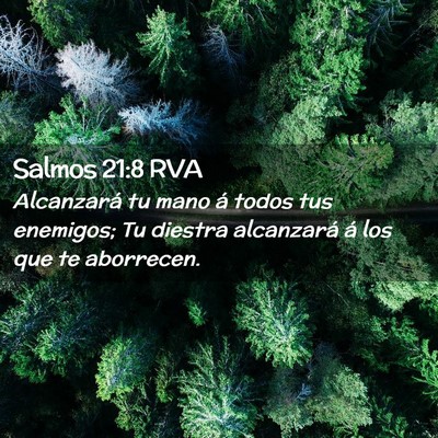 Picture 02 - Salmos 21:8 RVA - Alcanzará tu mano á todos tus enemigos; Tu - Bible Verse Picture