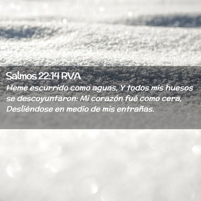Picture 02 - Salmos 22:14 RVA - Heme escurrido como aguas, Y todos mis huesos se - Bible Verse Picture
