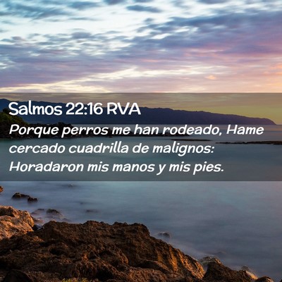 Picture 02 - Salmos 22:16 RVA - Porque perros me han rodeado, Hame cercado - Bible Verse Picture