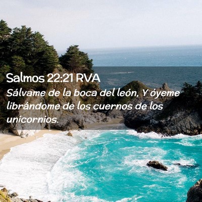 Picture 02 - Salmos 22:21 RVA - Sálvame de la boca del león, Y óyeme - Bible Verse Picture