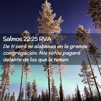 Picture 02 - Salmos 22:25 RVA - De ti será mi alabanza en la grande - Bible Verse Picture