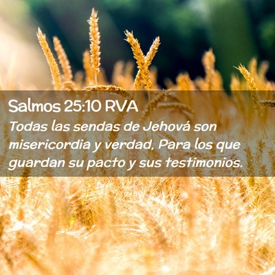 Picture 02 - Salmos 25:10 RVA - Todas las sendas de Jehová son misericordia y - Bible Verse Picture