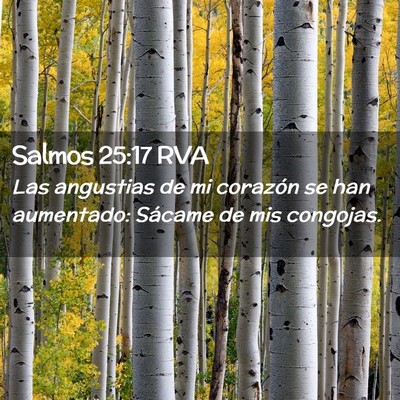 Picture 02 - Salmos 25:17 RVA - Las angustias de mi corazón se han aumentado: - Bible Verse Picture