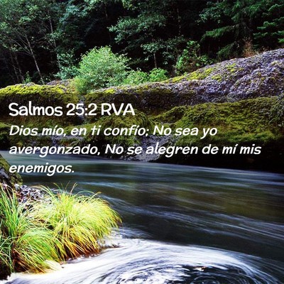 Picture 02 - Salmos 25:2 RVA - Dios mío, en ti confío; No sea yo avergonzado, - Bible Verse Picture