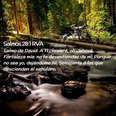 Picture 02 - Salmos 28:1 RVA - Salmo de David. A TI clamaré, oh Jehová, - Bible Verse Picture