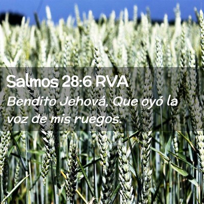 Picture 02 - Salmos 28:6 RVA - Bendito Jehová, Que oyó la voz de mis - Bible Verse Picture