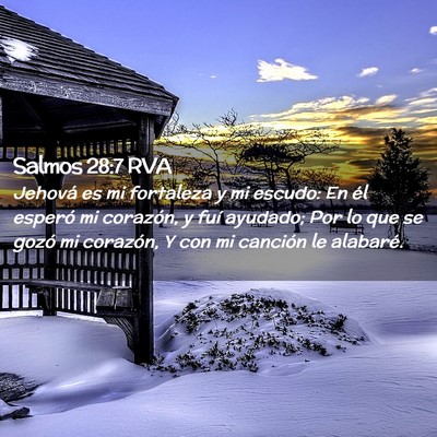 Picture 02 - Salmos 28:7 RVA - Jehová es mi fortaleza y mi escudo: En él - Bible Verse Picture